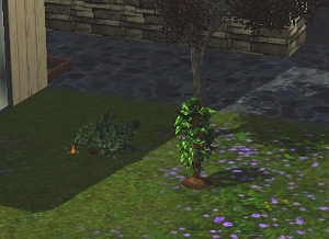 Sims 3 Gardening Sim Gnome